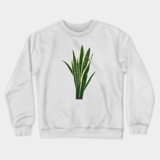 Snake Plant Crewneck Sweatshirt